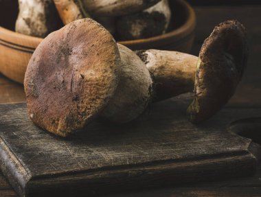 Taze orman beyaz mantarlar tahtada