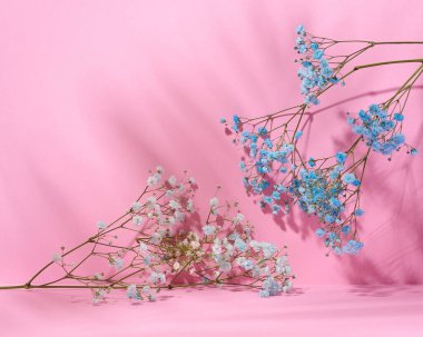 Pink cosmetics product advertising stand with shadow. Concept scene stage showcase for product, promotion, sale, presentation of cosmetic products. Minimal