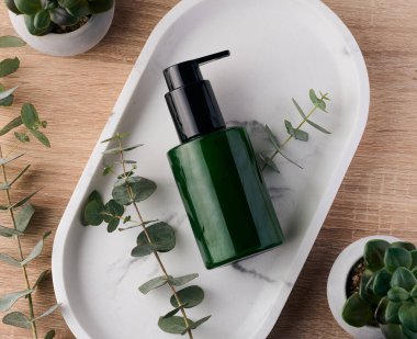 Yeşil plastik şişe ve okaliptüs dalı, üst manzara. Kozmetik için konteyner