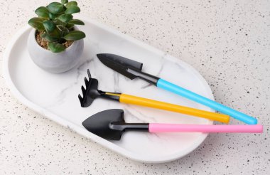 Miniature garden tools for transplanting plants, home hobby, top view