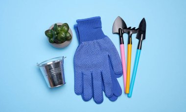 Miniature garden tools for transplanting plants, home hobby, top view