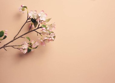 Bej arka planda tekstil kiraz çiçekleri olan bir dal, ev dekorasyonu. Boşluğu kopyala