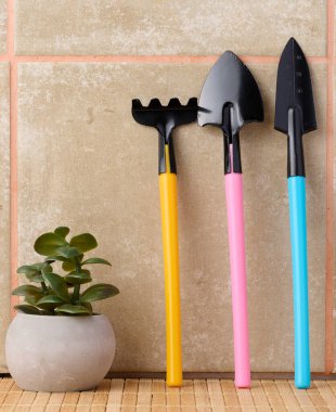 Miniature garden tools for transplanting plants, home hobby