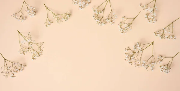 Gypsophilia Branch White Flowers Beige Background Top View Copy Space — Stock Photo, Image