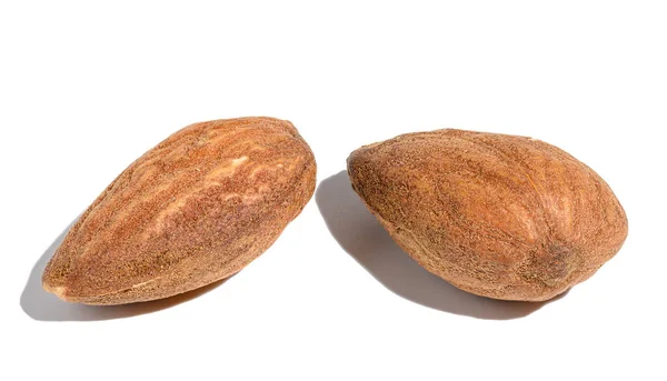 Almond Kernel White Isolated Background Close — 스톡 사진