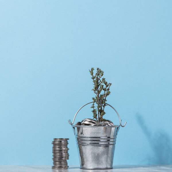 Coins in a small bucket and a plant, income growth concept