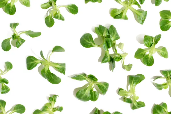 Green Leaves Mung Bean Salad White Isolated Background Healthy Salad — Foto de Stock