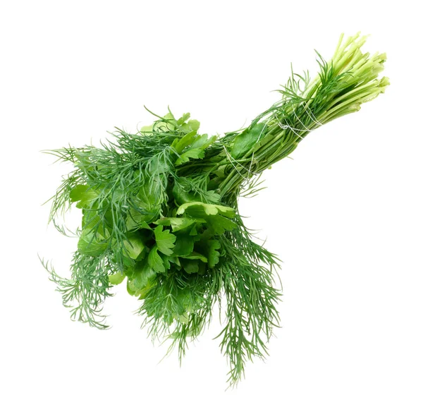 Bunch Parsley Dill White Isolated Background Stock Photo