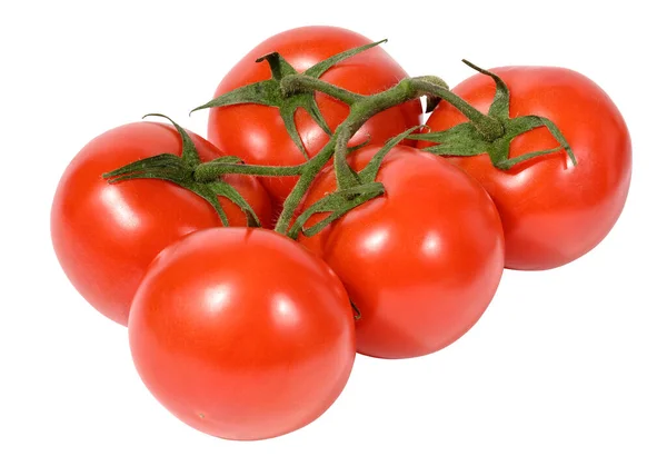 Tomates Mûres Rouges Sur Une Branche Verte Sur Fond Blanc — Photo