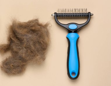 Hayvan budayıcı ve mavi arka planda bir tutam seryo yünü. Tımar için öge