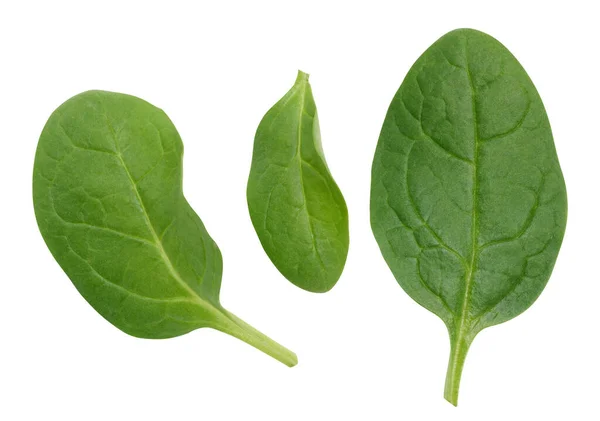 Folhas Espinafre Verde Fundo Isolado Branco Ingrediente Para Salada — Fotografia de Stock