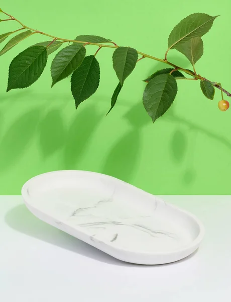 Leerer Ovaler Weißer Marmorständer Auf Beigem Hintergrund Und Grünen Blättern — Stockfoto