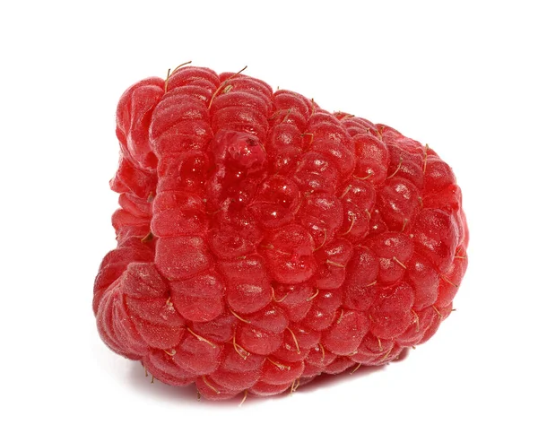 Ripe Red Raspberry White Isolated Background — 스톡 사진