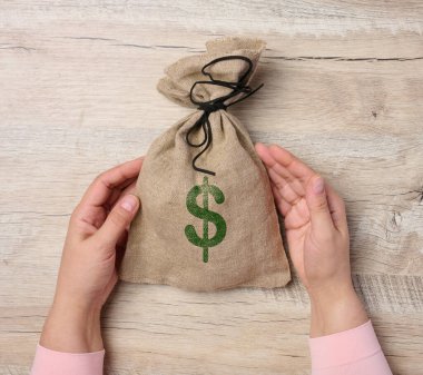 Doldurulmuş bez bir çanta taşıyan kadın eller dolar işareti, zenginlik ve başarı kavramı
