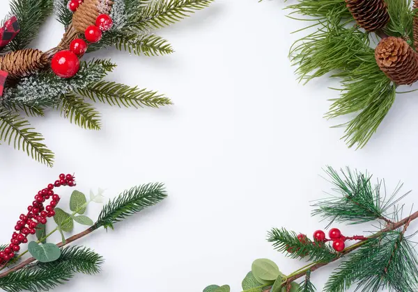 Cabang Pohon Cemara Natal Dengan Dekorasi Pada Latar Belakang Putih — Stok Foto