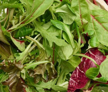 Taze marul yaprakları, roka ve pancar yaprakları karışımı. Yukarıdan görüntüle