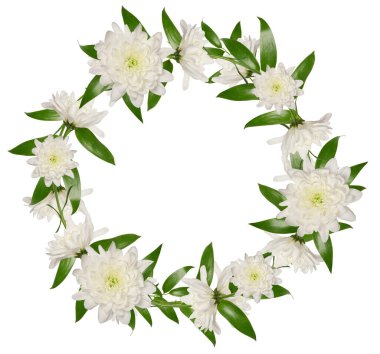 Arkaplanda beyaz kasımpatı tomurcukları ve yeşil yapraklardan oluşan bir çelenk.