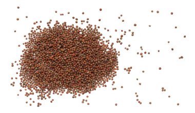 İzole bir zemine saçılmış yuvarlak brokoli tohumları. Üst görünüm