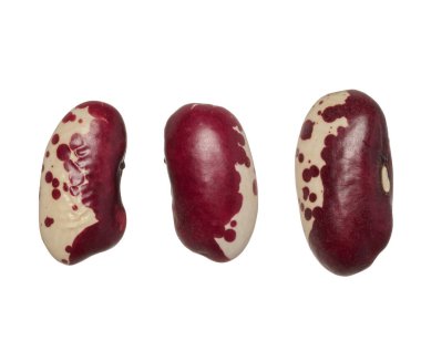 İzole edilmiş arka planda çiğ kahverengi fasulye, üst görünüm