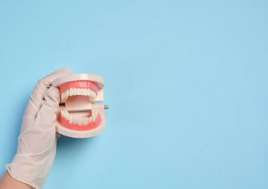 Bir kadının eli, beyaz dişli yapay bir çeneyi mavi arka planda tutar, ağız hijyenidir. Üst görünüm