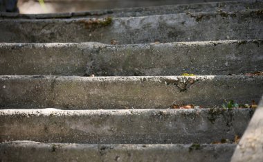 Stone caddede yürüyor, yaz günü.