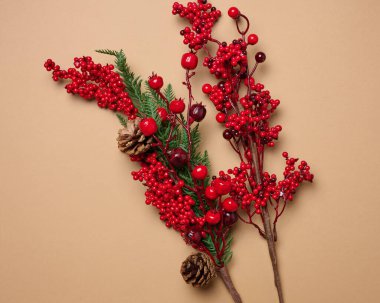 Kahverengi arka planda kırmızı böğürtlenli ve çam kozalaklı dekoratif Noel dalı.