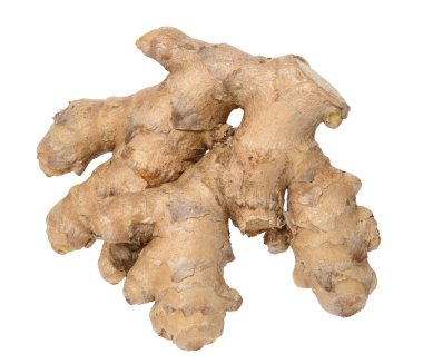 İzole edilmiş arkaplanda zencefil kökü, kapat