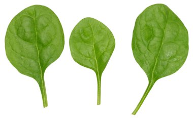 İzole edilmiş arka planda taze yeşil ıspanak yaprakları, üst görünüm