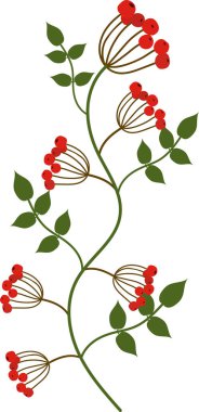 Yeşil yapraklı ve kırmızı meyveli bir bitkinin dalı.