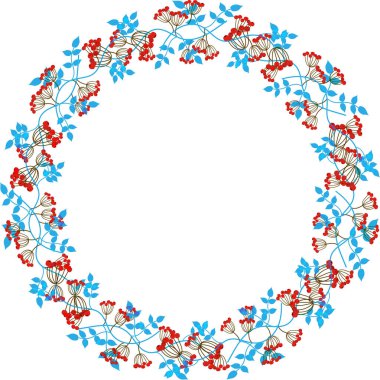 İzole edilmiş arka planda kırmızı böğürtlen ve mavi yapraklı yuvarlak demet.