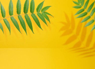 Yaprakları olan bir ağaç dalının gölgesiyle soyut sarı arkaplan, ürünleri, reklamları ve tanıtımları sergilemek için bir yer