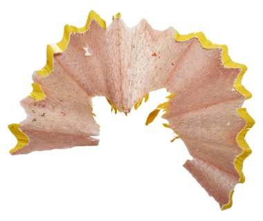 İzole edilmiş arka planda kıvrımlı sarı kalem traşı. Kapat.