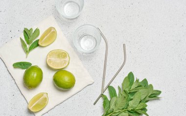 Ferahlatıcı bir içecek için gereken malzemelerin en alttaki görüntüsü, dilimlenmiş limon, taze nane filizi, iki boş bardak ve iki metal pipet.