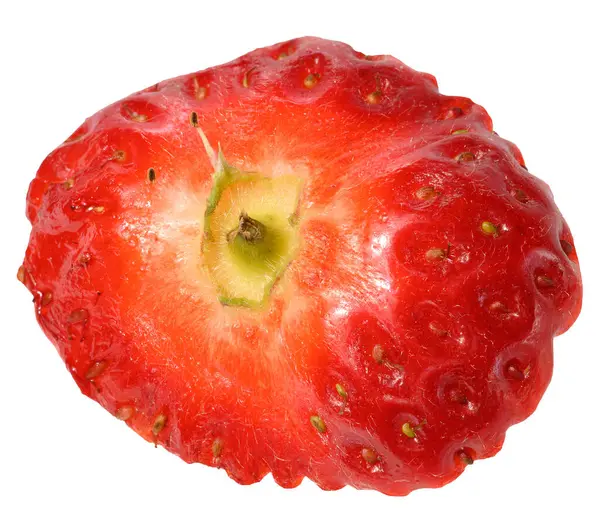 Bir parça kırmızı olgun çilek, yaklaşın.