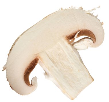 İzole edilmiş arka planda ham beyaz şampiyon dilimi