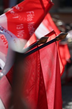 Monako, Monako - 11.19.2022: Ulusal Prensler Günü 'nde Monako Bayrakları - Hükümdarlık Prensleri Günü