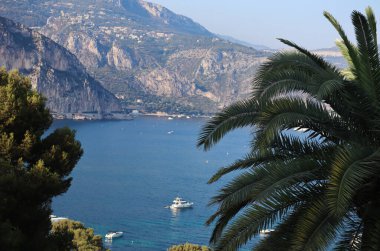 Saint-Jean-Cap-Ferrat, Fransa - 29 Temmuz 2021: Saint-Jean-Cap-Ferrat yarımadasından Akdeniz 'e ve gemilere, ön planda palmiye yaprakları odak dışı