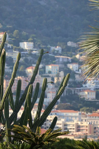 Saint Jean Cap Ferrat Frankrijk Juli 2021 Uitzicht Vanaf Villa — Stockfoto