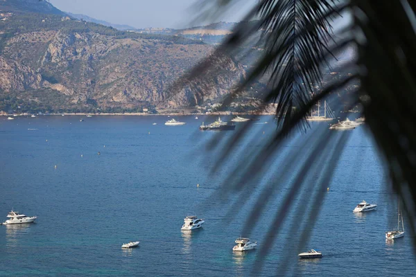 Saint-Jean-Cap-Ferrat, France - July 29, 2021: view from the peninsula of Saint-Jean-Cap-Ferrat to the Mediterranean Sea and ships, with palm leaves in the foreground out of focus