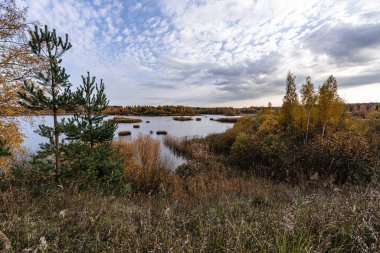 Autumn landscape on a cloudy day, on the lake. Pavlovsk, Leningrad Region, Northwest Russia