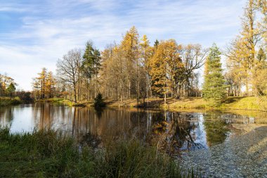 Autumn landscape on a sunny day, on the lake. Priyutino, Leningrad Region, Northwest Russia