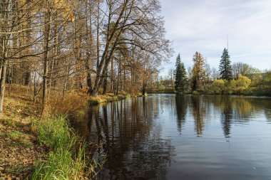 Autumn landscape on a sunny day, on the lake. Priyutino, Leningrad Region, Northwest Russia