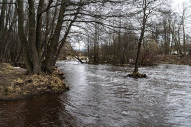 Winter view of the Chyornaya Rechka (Black River), a small river in Saint Petersburg, which flows into the Great Nevka, a branch of the Neva.
