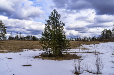 Landscape on the Karelian Isthmus, situated between the Gulf of Finland and Lake Ladoga in northwestern Russia
