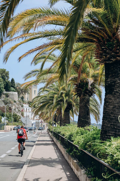 Nice, France - 01 June 2023:  Palm trees along the road between Nice and Villefranche sur Mer, on the French Riviera