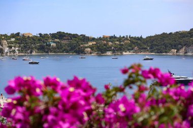 Ön planda Bougainvillea odak dışı ve arka planda Saint-jean-cap-Ferrat