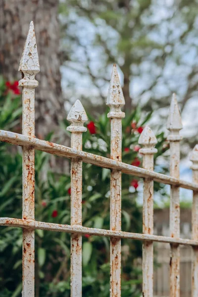 Παλιός Φράχτης Μιας Από Τις Βίλες Στη Χερσόνησο Του Saint — Φωτογραφία Αρχείου