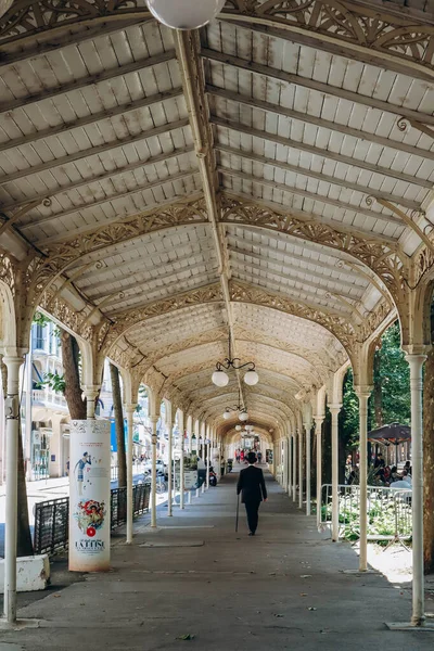 Vichy Francia Junio 2023 Paseos Famosos Dosel Para Caminar Parc — Foto de Stock