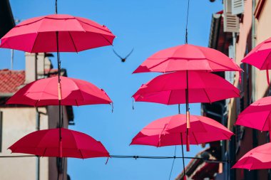 Grasse 'nin orta caddelerini süsleyen ünlü pembe şemsiyeler