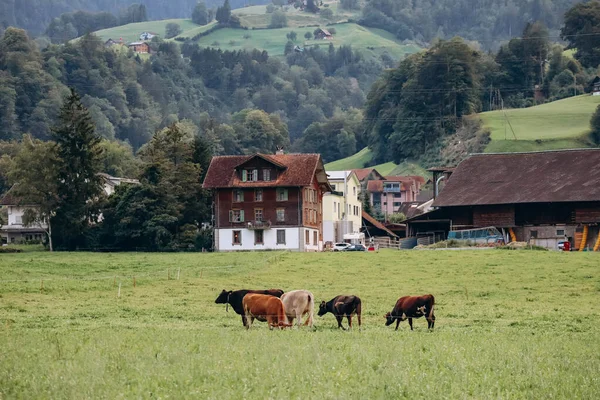 Malebná Krajina Alpnachu Švýcarsko — Stock fotografie